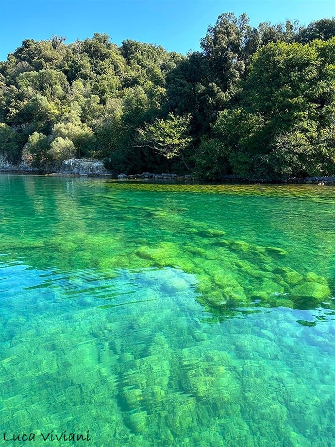 Le acque intorno l'isola Bisentina nel lago di Bolsena